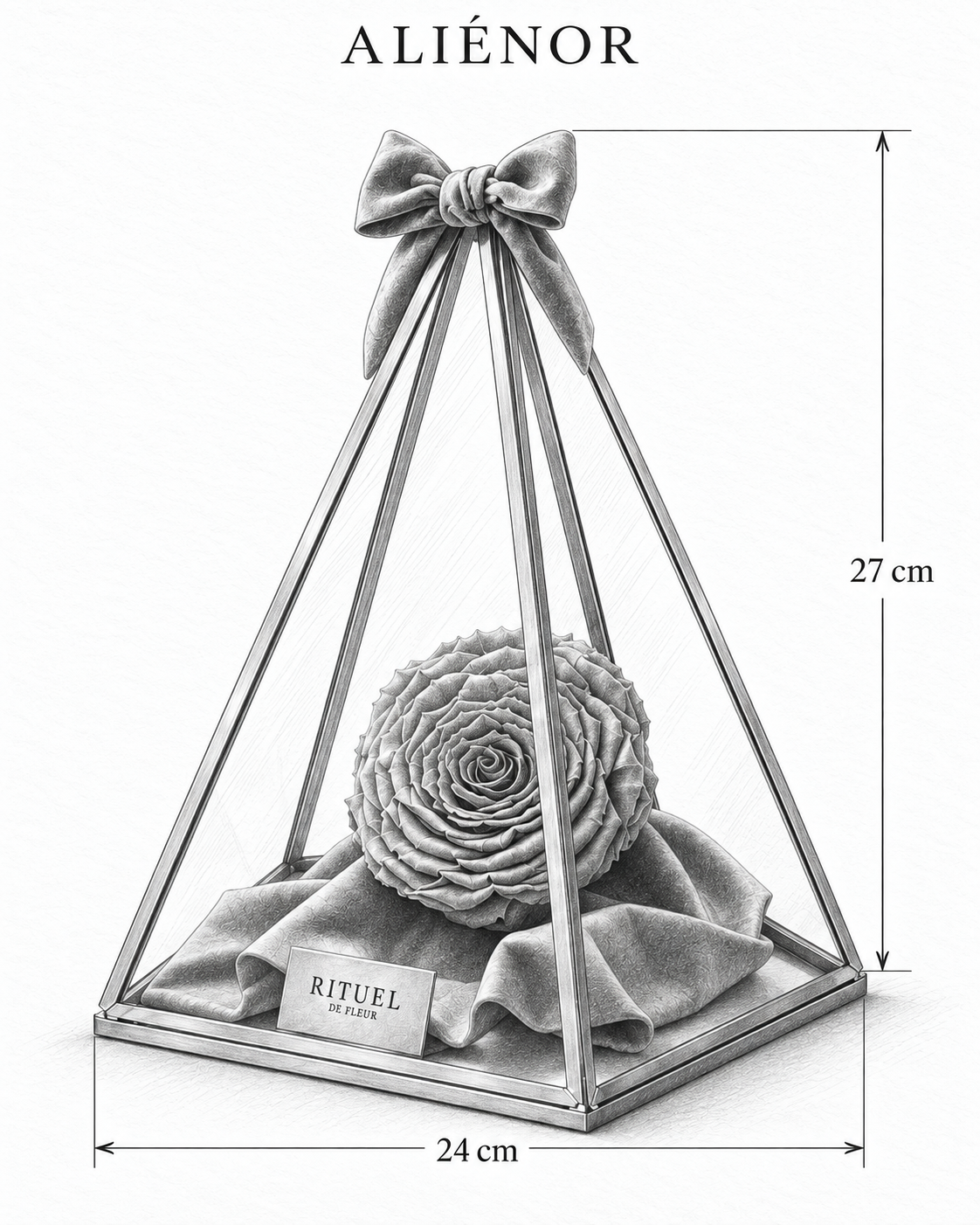 ALIÉNOR — 24 cm genişlik, 27 cm yükseklik — ölçülü karakalem ürün çizimi