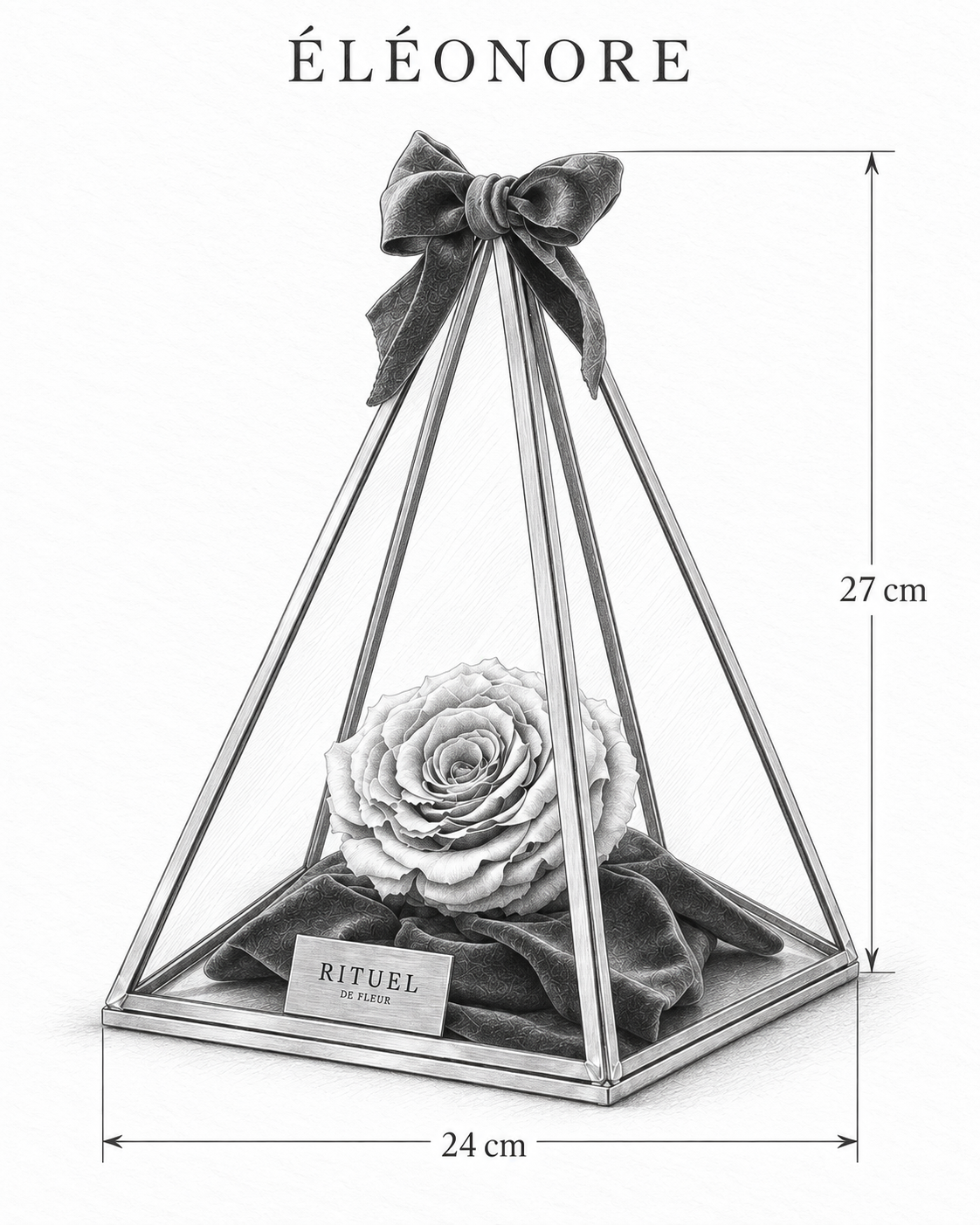 ÉLÉONORE — 24 cm genişlik, 27 cm yükseklik — ölçülü karakalem ürün çizimi