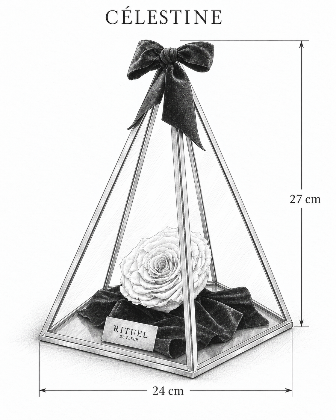 CÉLESTINE — 24 cm genişlik, 27 cm yükseklik — ölçülü karakalem ürün çizimi