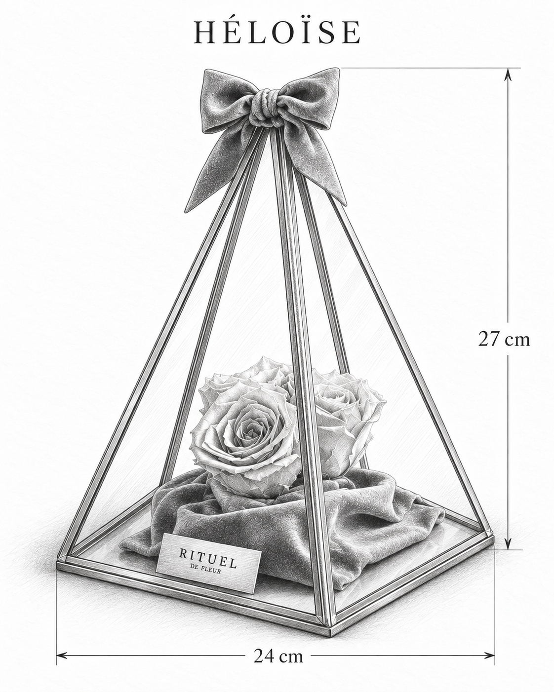 HÉLOÏSE — 24 cm genişlik, 27 cm yükseklik — ölçülü karakalem ürün çizimi