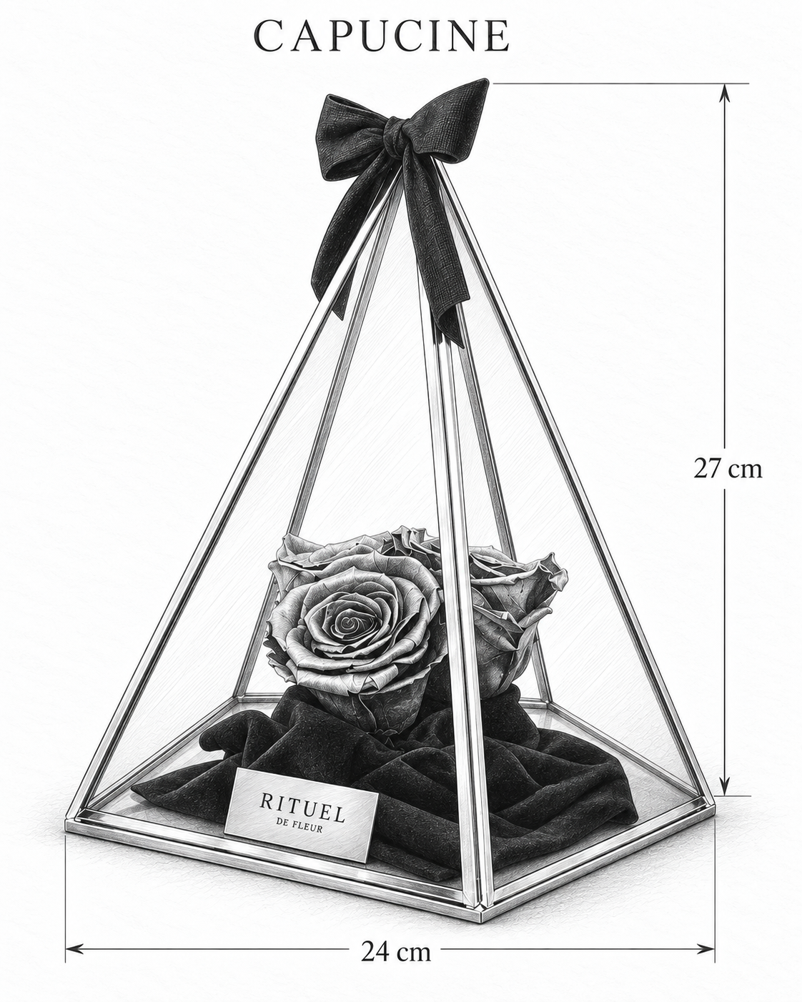 CAPUCINE — 24 cm genişlik, 27 cm yükseklik — ölçülü karakalem ürün çizimi