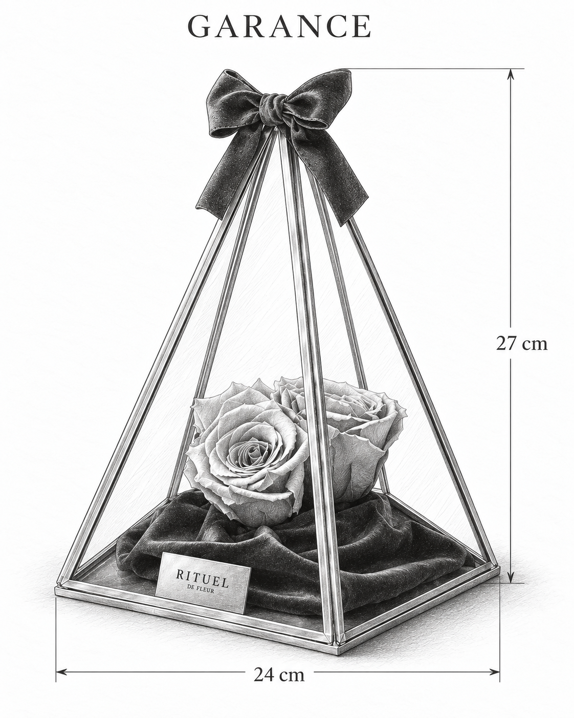 GARANCE — 24 cm genişlik, 27 cm yükseklik — ölçülü karakalem ürün çizimi