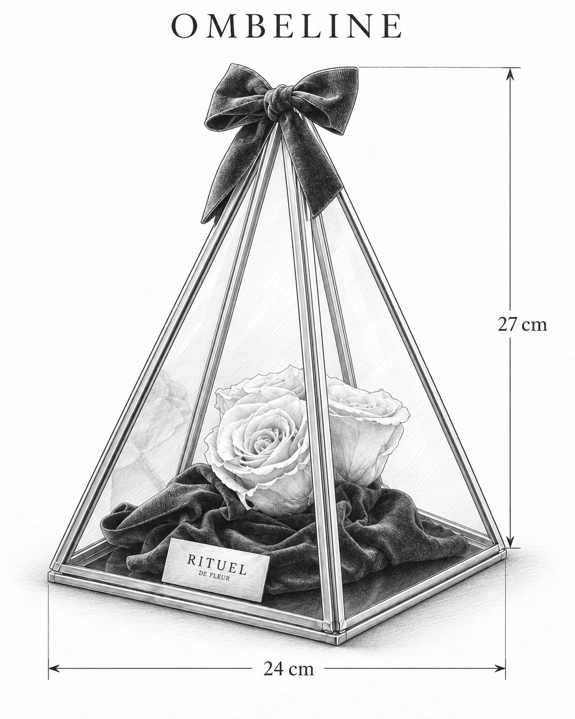 OMBELINE — 24 cm genişlik, 27 cm yükseklik — ölçülü karakalem ürün çizimi