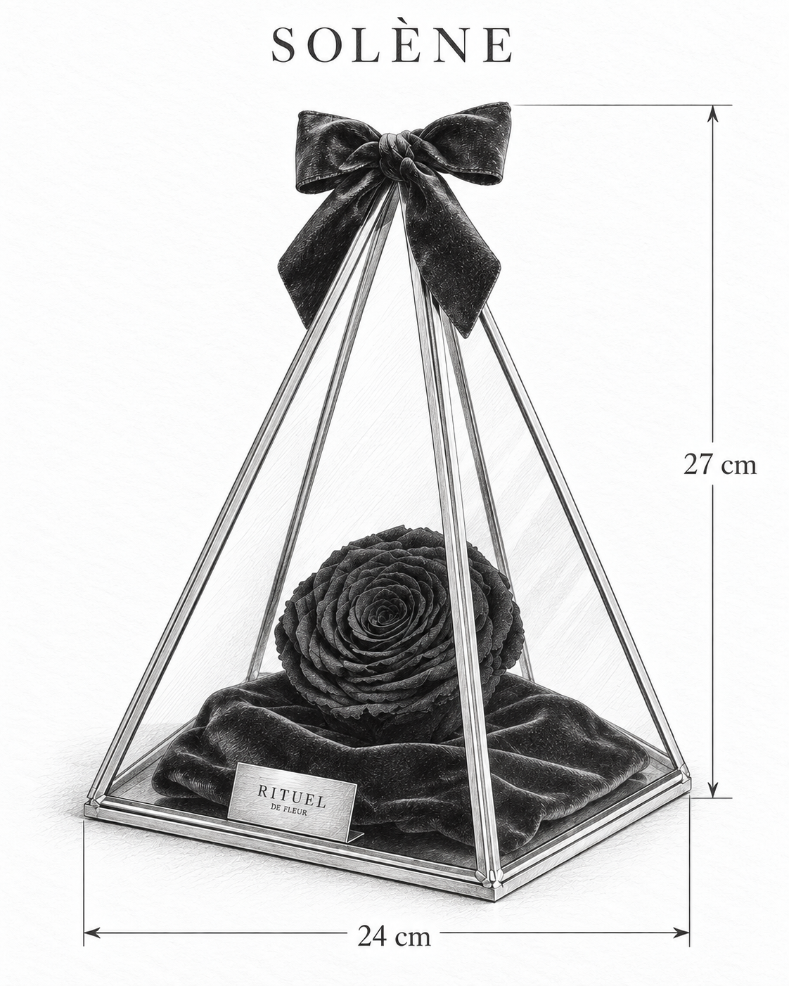 SOLÈNE — 24 cm genişlik, 27 cm yükseklik — ölçülü karakalem ürün çizimi
