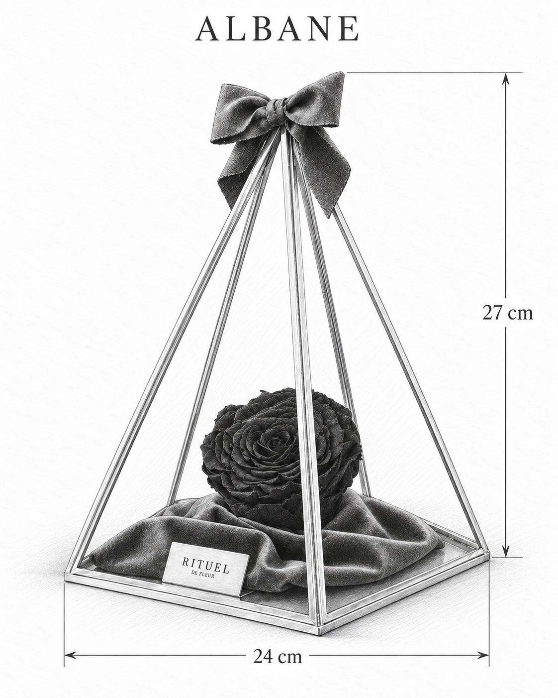 ALBANE — 24 cm genişlik, 27 cm yükseklik — ölçülü karakalem ürün çizimi