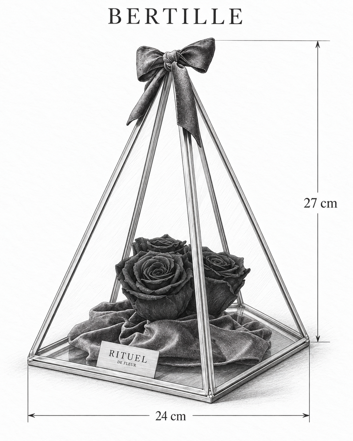BERTILLE — 24 cm genişlik, 27 cm yükseklik — ölçülü karakalem ürün çizimi