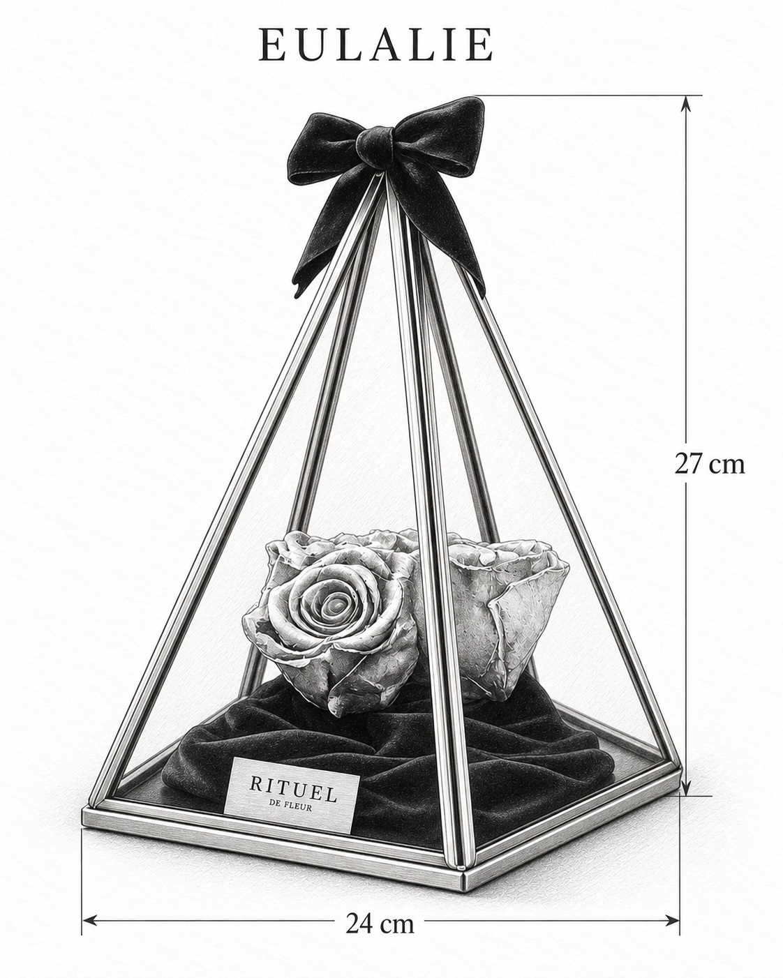 EULALIE — 24 cm genişlik, 27 cm yükseklik — ölçülü karakalem ürün çizimi