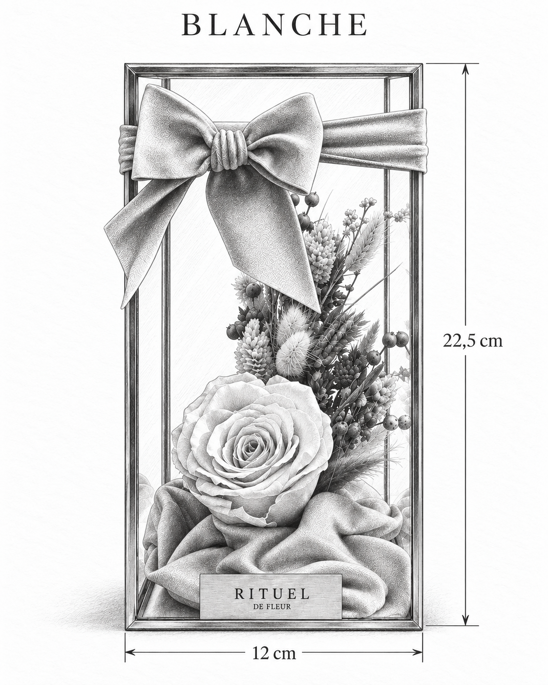 BLANCHE — 12 cm genişlik, 22,5 cm yükseklik — ölçülü karakalem ürün çizimi