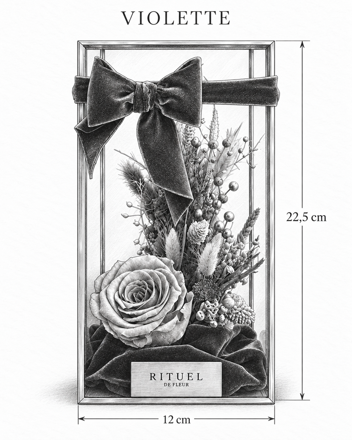 VIOLETTE — 12 cm genişlik, 22,5 cm yükseklik — ölçülü karakalem ürün çizimi