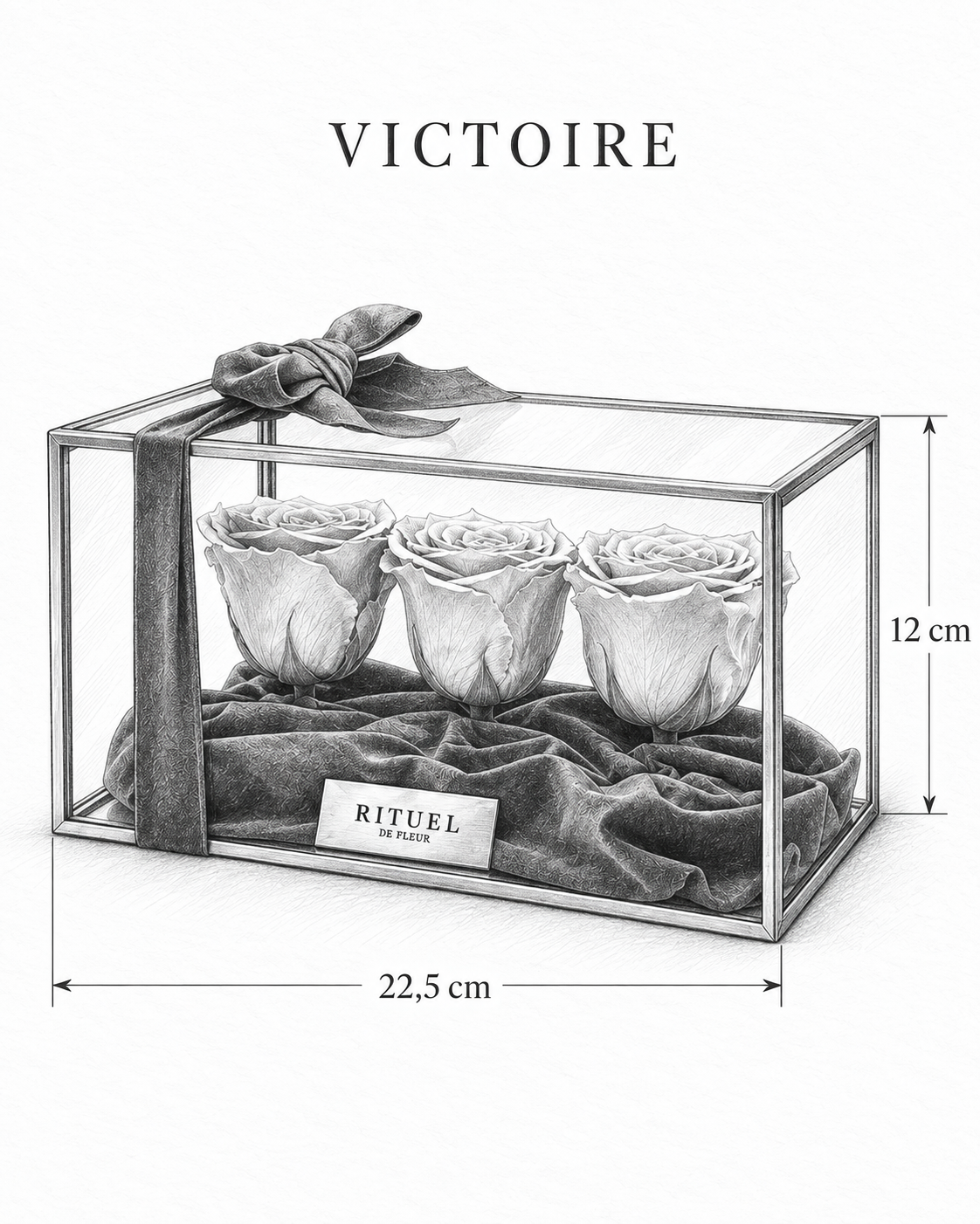 VICTOIRE — 22,5 cm genişlik, 12 cm yükseklik — ölçülü karakalem ürün çizimi