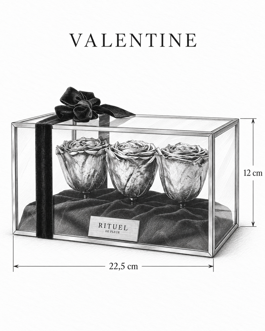 VALENTINE — 22,5 cm genişlik, 12 cm yükseklik — ölçülü karakalem ürün çizimi