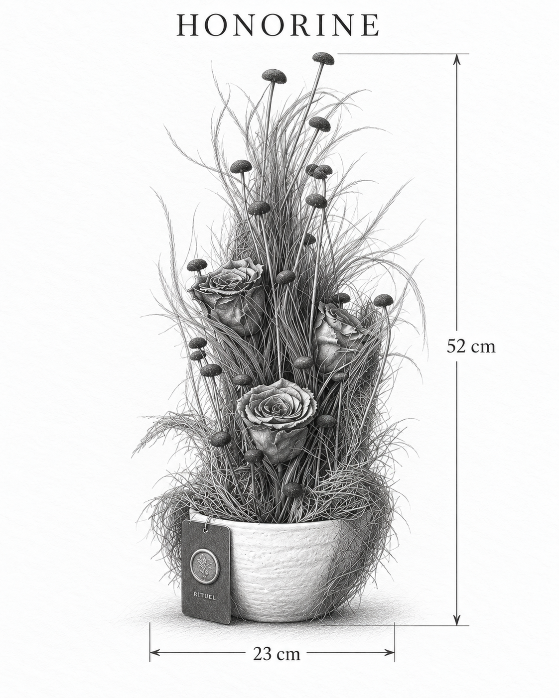HONORINE — 23 cm genişlik, 52 cm yükseklik — ölçülü karakalem ürün çizimi