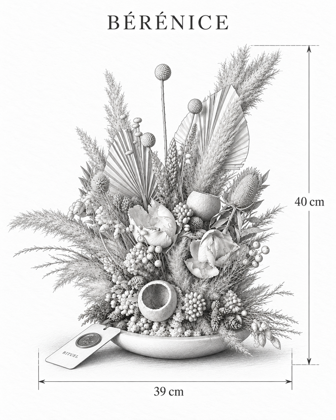 BÉRÉNICE — 39 cm genişlik, 40 cm yükseklik — ölçülü karakalem ürün çizimi