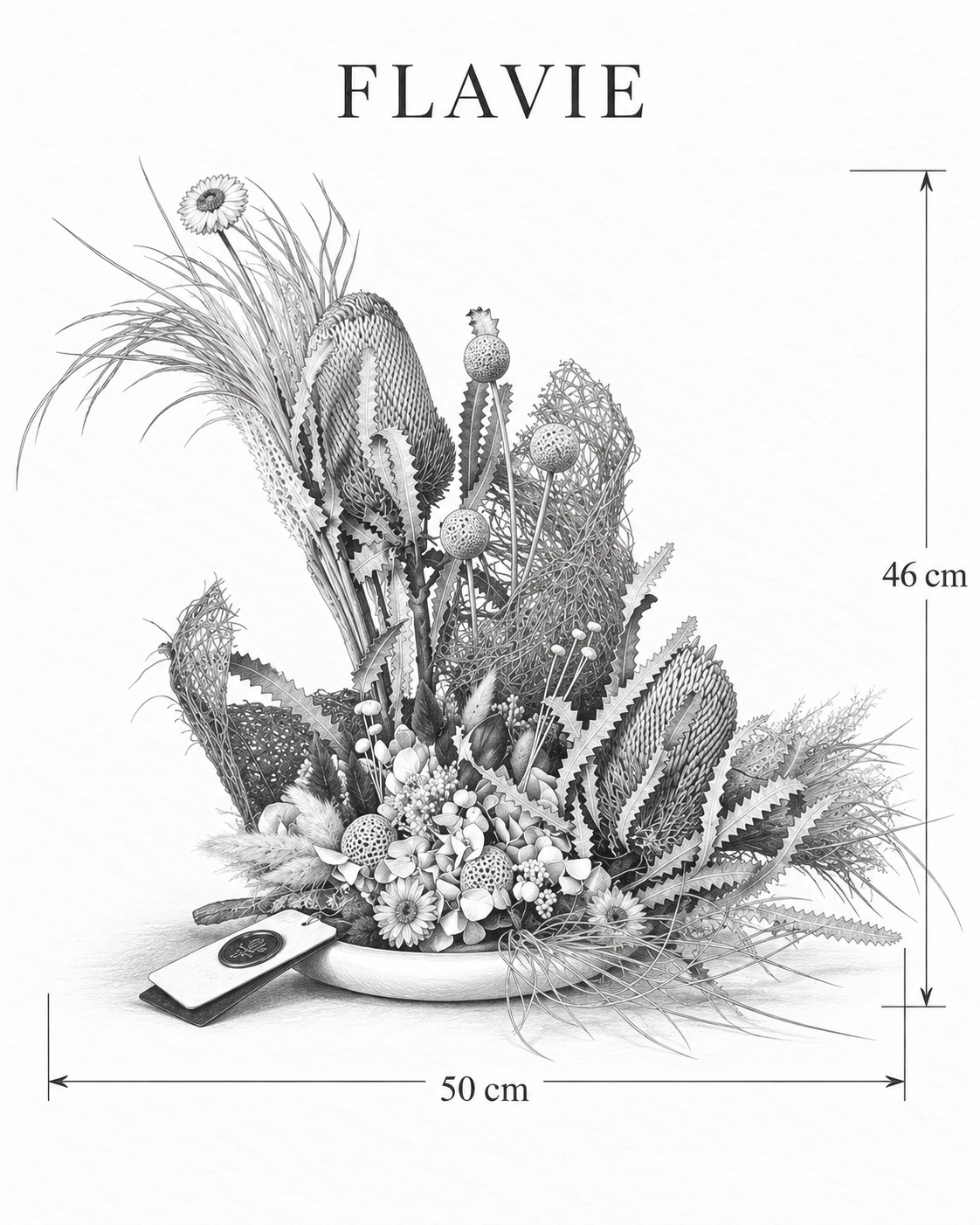 FLAVIE — 50 cm genişlik, 46 cm yükseklik — ölçülü karakalem ürün çizimi