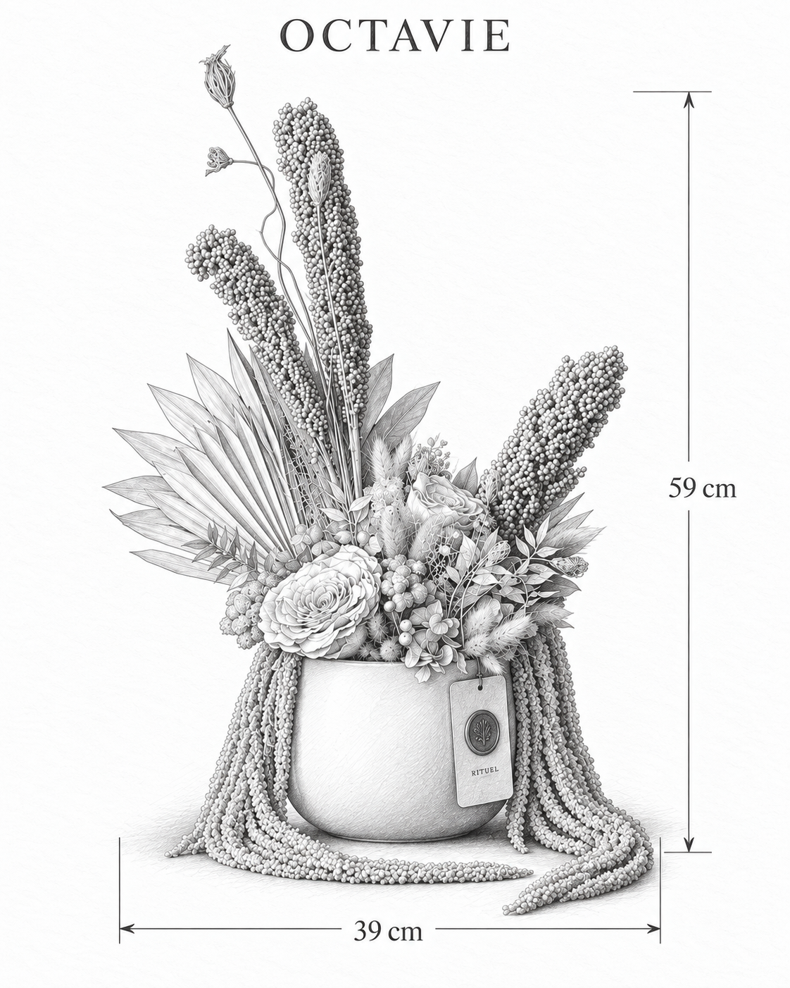 OCTAVIE — 39 cm genişlik, 59 cm yükseklik — ölçülü karakalem ürün çizimi