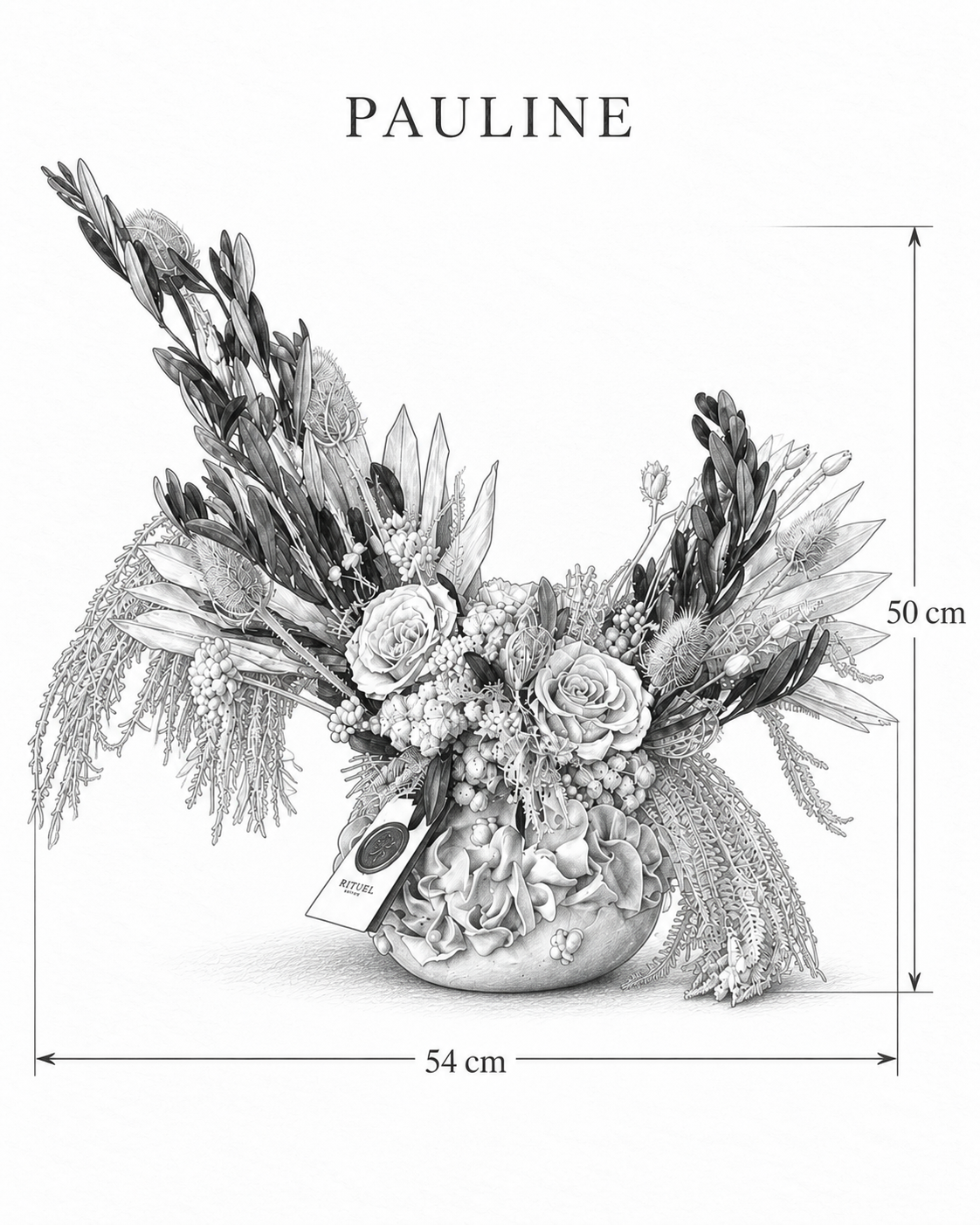 PAULINE — 54 cm genişlik, 50 cm yükseklik — ölçülü karakalem ürün çizimi