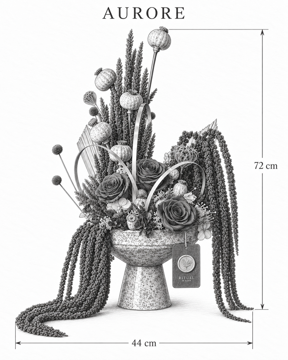 AURORE — 44 cm genişlik, 72 cm yükseklik — ölçülü karakalem ürün çizimi