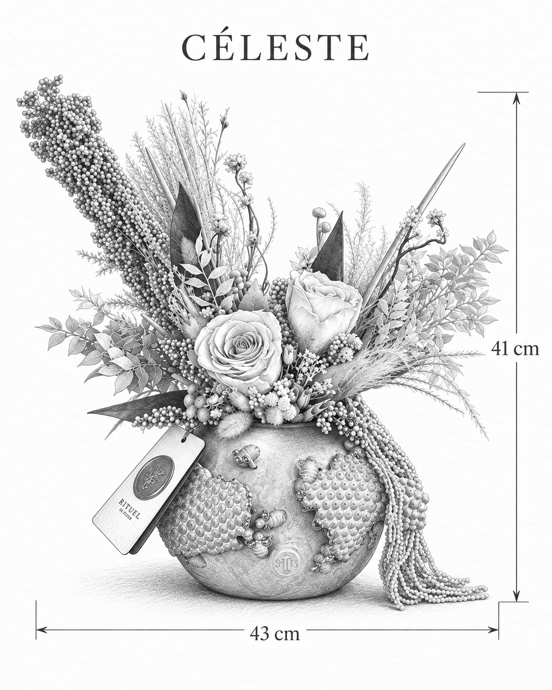 CÉLESTE — 43 cm genişlik, 41 cm yükseklik — ölçülü karakalem ürün çizimi