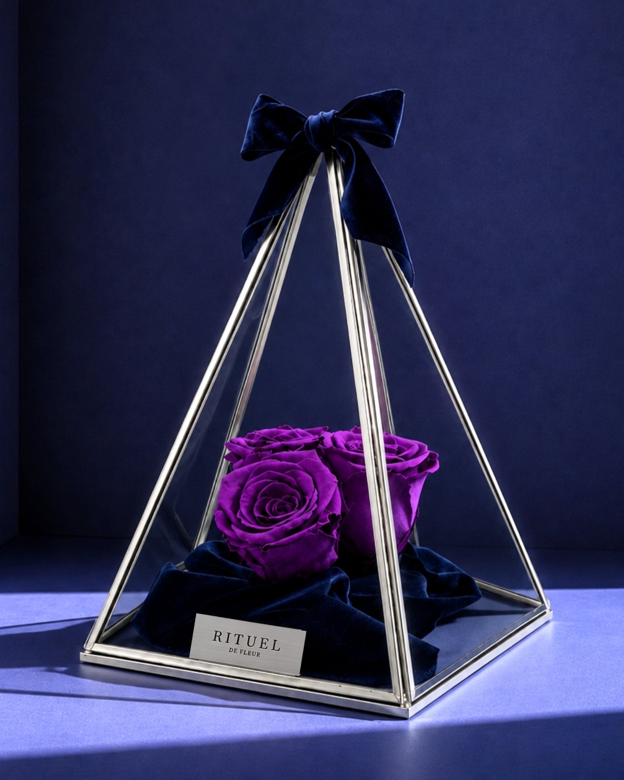 cam fanus içerisinde mor solmayan güller